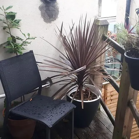 Beautiful, Large 4 Bedroom City Centre Townhouse דירה דבלין